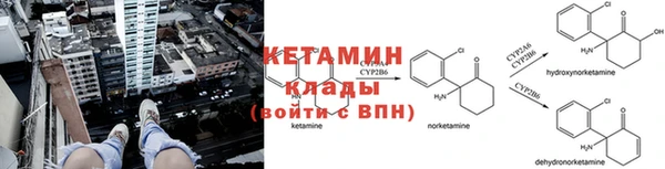 PSILOCYBIN Баксан
